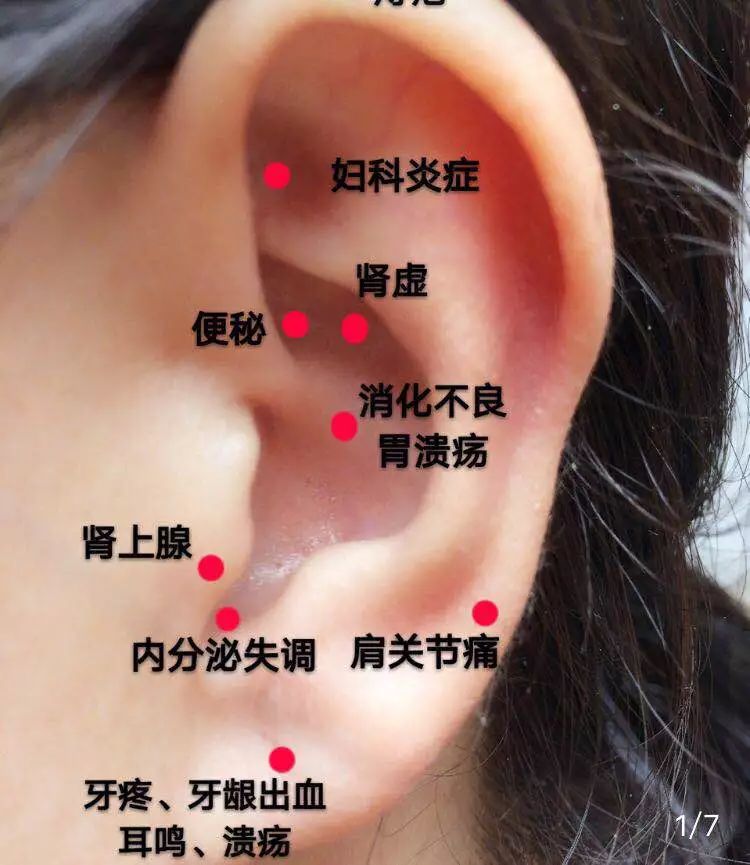 中医药文化耳部按摩图片