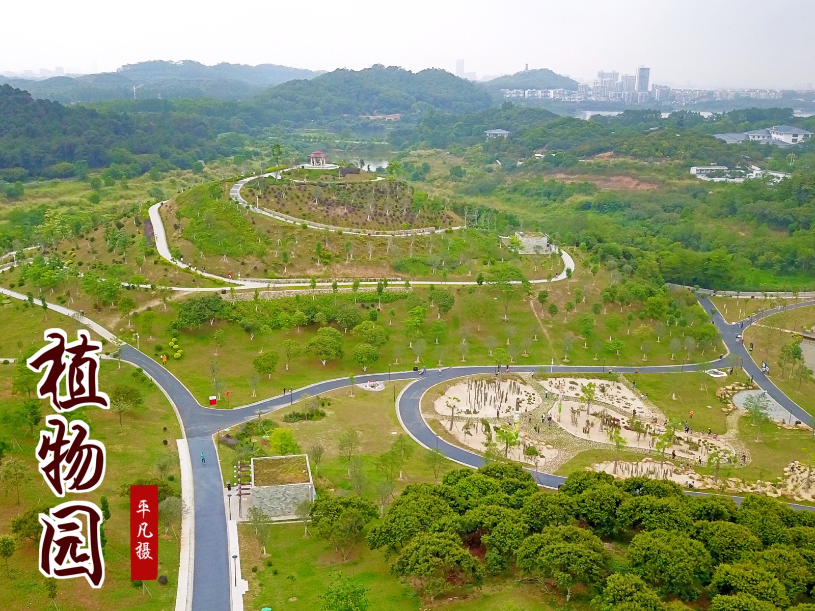 东莞植物园全景图图片