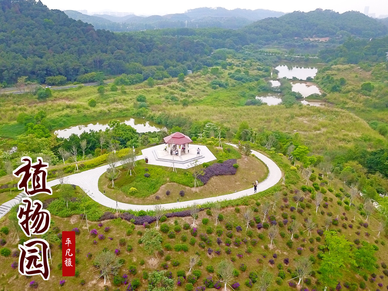 东莞植物园全景图图片