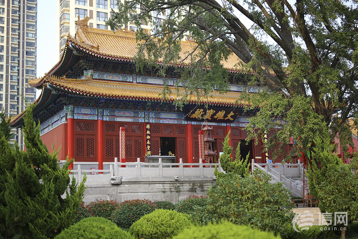 青島繁華鬧市暗藏佛家禪院 揭秘觀音寺的