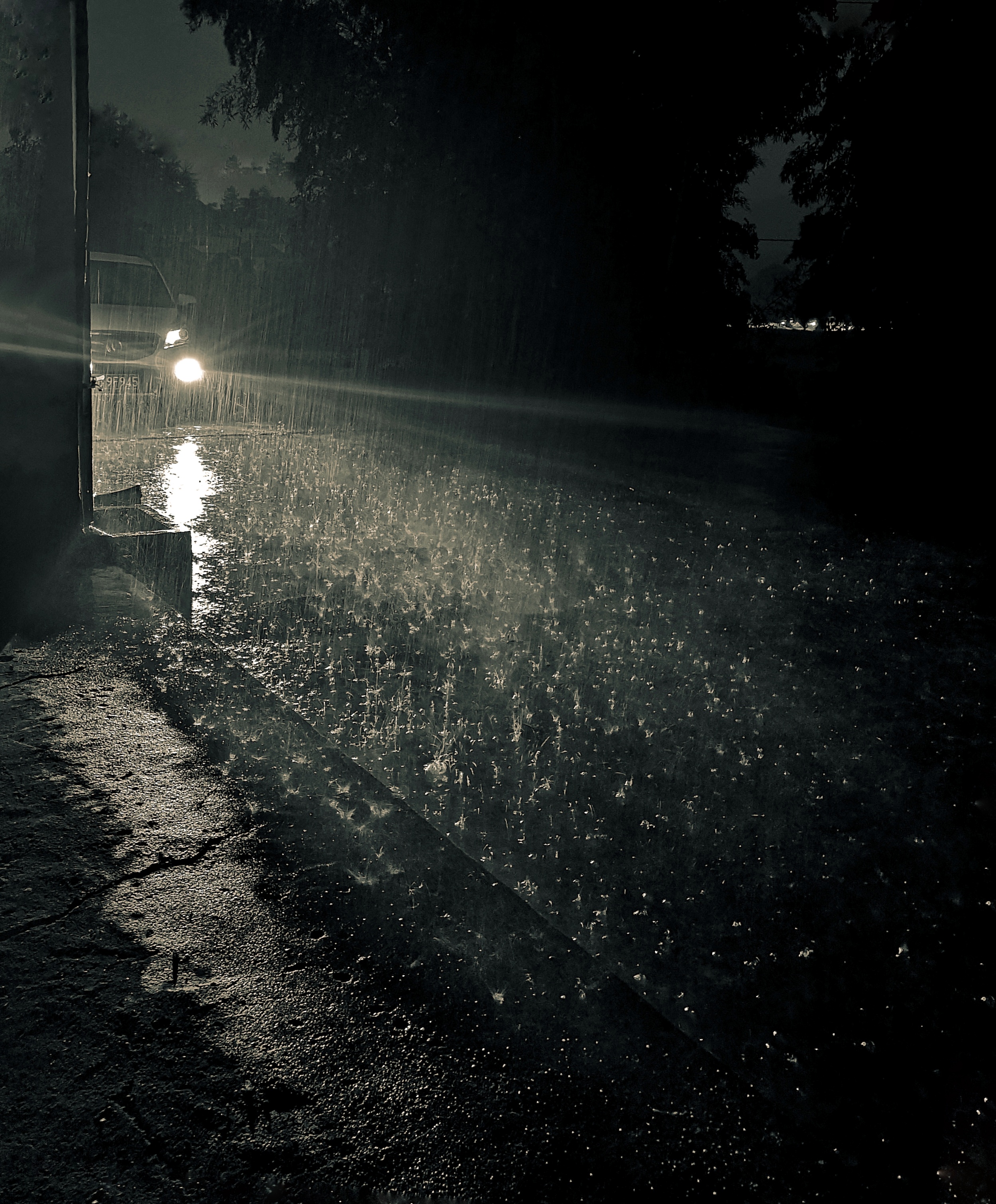 晚上下雨的图片伤感图片