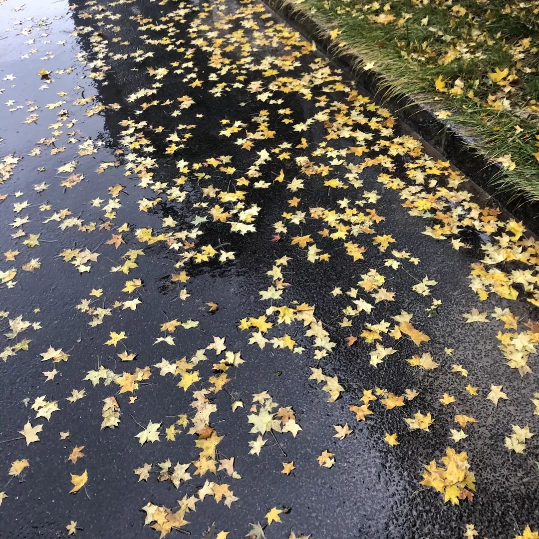 深秋天气变冷的图片图片