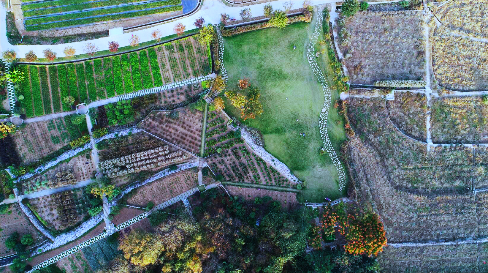 彭家湾植物园位置图片