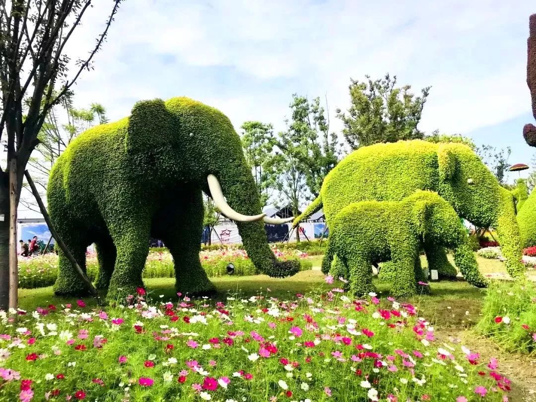 錦繡安仁花卉公園丨一座花海搖曳的人間仙境