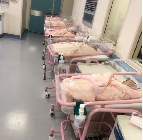 新生儿重症监护室(nicu),新生儿蓝光治疗区,独立配奶室,浴婴室