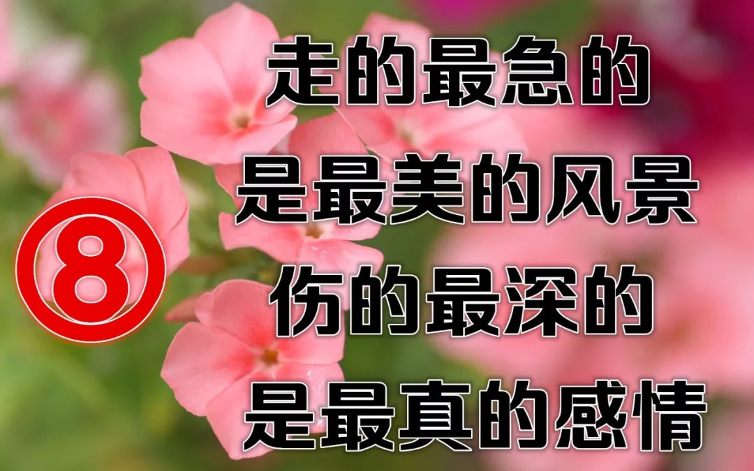 早上好,一首《又是一年秋風涼》送給遠方思念的人,願你平安吉祥!