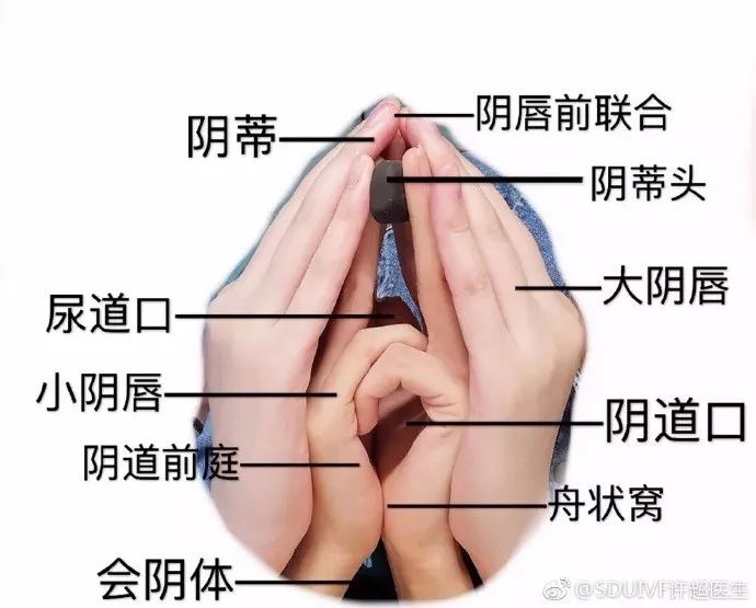 只有醫學生才能上這節腦洞大開的示教課