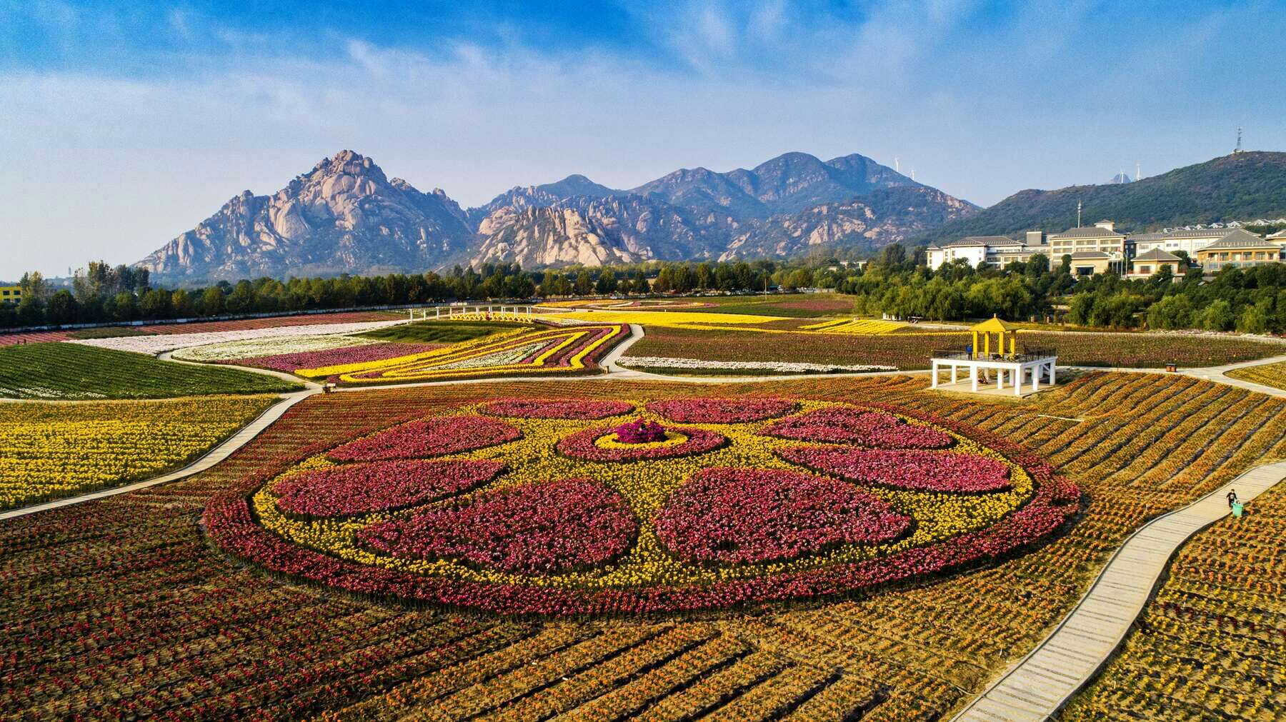 嵖岈山温泉小镇梅园图片