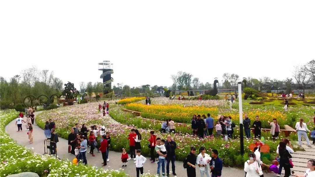 錦繡安仁花卉公園丨一座花海搖曳的人間仙境