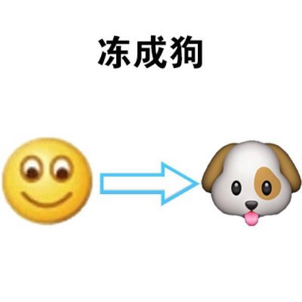 哄冻尼表情图片