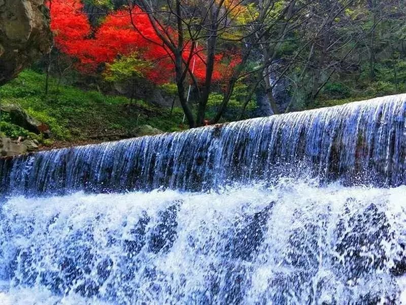 行程安排早上從指定地點出發赴欒川,抵達欒川【養子溝景區】之後開始