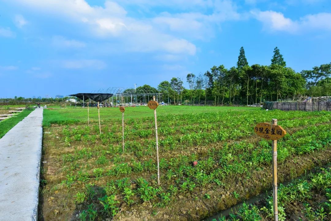 姚江農業公園入選省