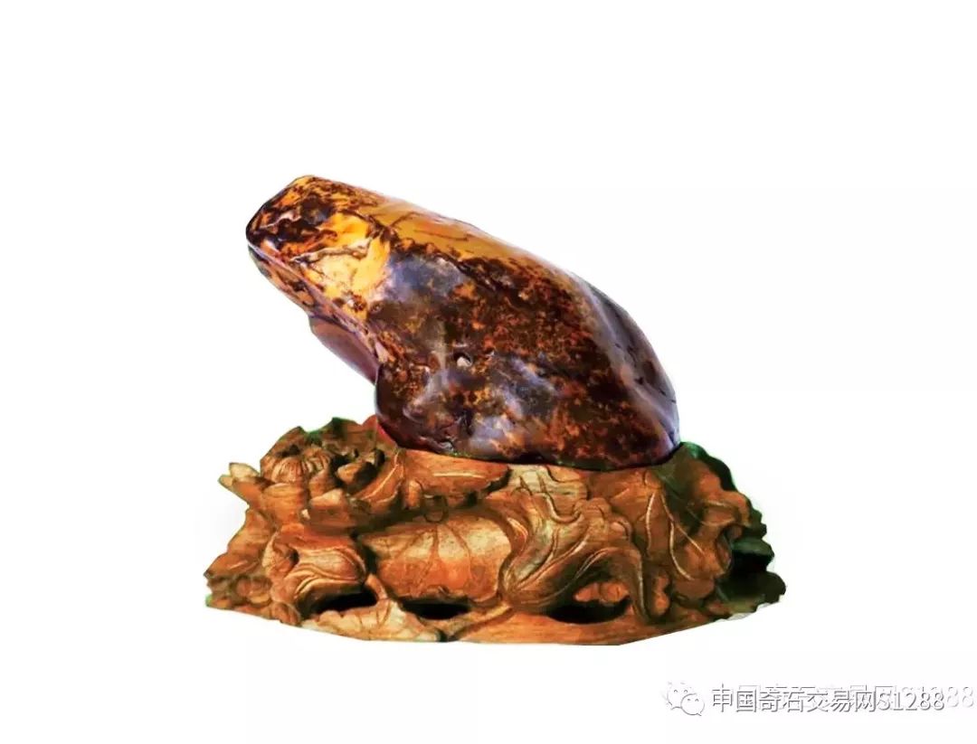 中国最美的金蟾奇石图片