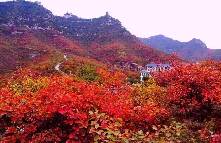 太美景晉城及周邊的賞紅葉勝地週末約起去這些地方拍張照