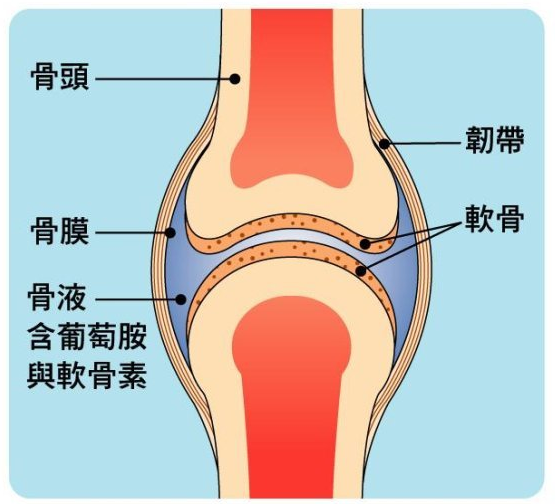 减肥每天13000步不伤关节的方法