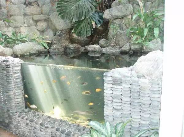 庭院鱼池玻璃面图片