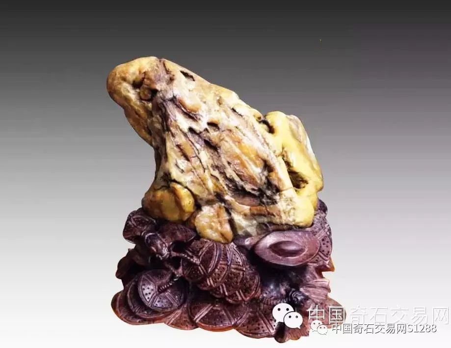 中国最美的金蟾奇石图片