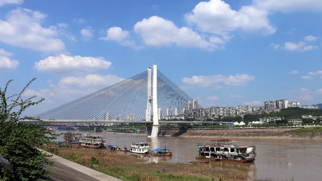 宜宾马鸣溪大桥图片