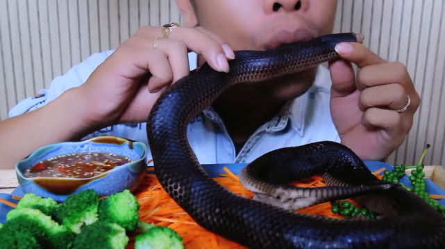 印度小伙生吃大蟒蛇,居然手撕蛇肉,打扰了!