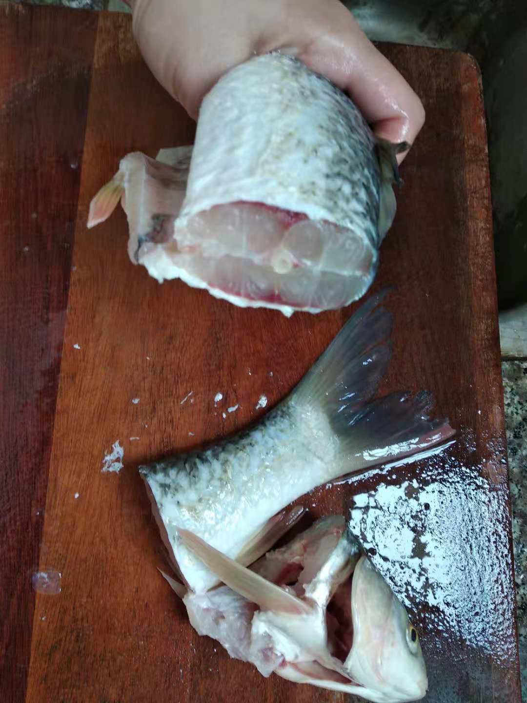 宰殺去魚鱗後的草魚,還是一樣的活蹦亂跳,生命力真的很頑強,飼養的