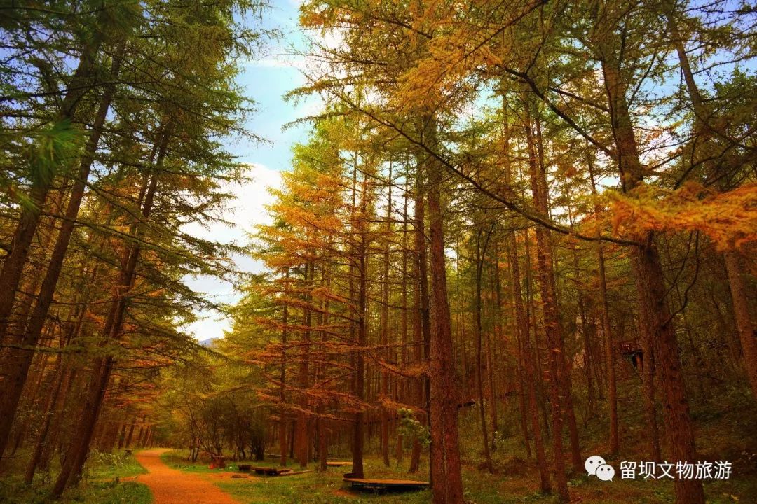 火燒店鎮—太獅路—太子嶺旅遊環線—獅子溝牧場景區地址:留壩營盤村