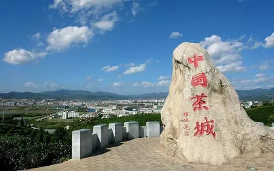 普洱,一个以茶闻名的城市,干净而富有森林童话般的诗意