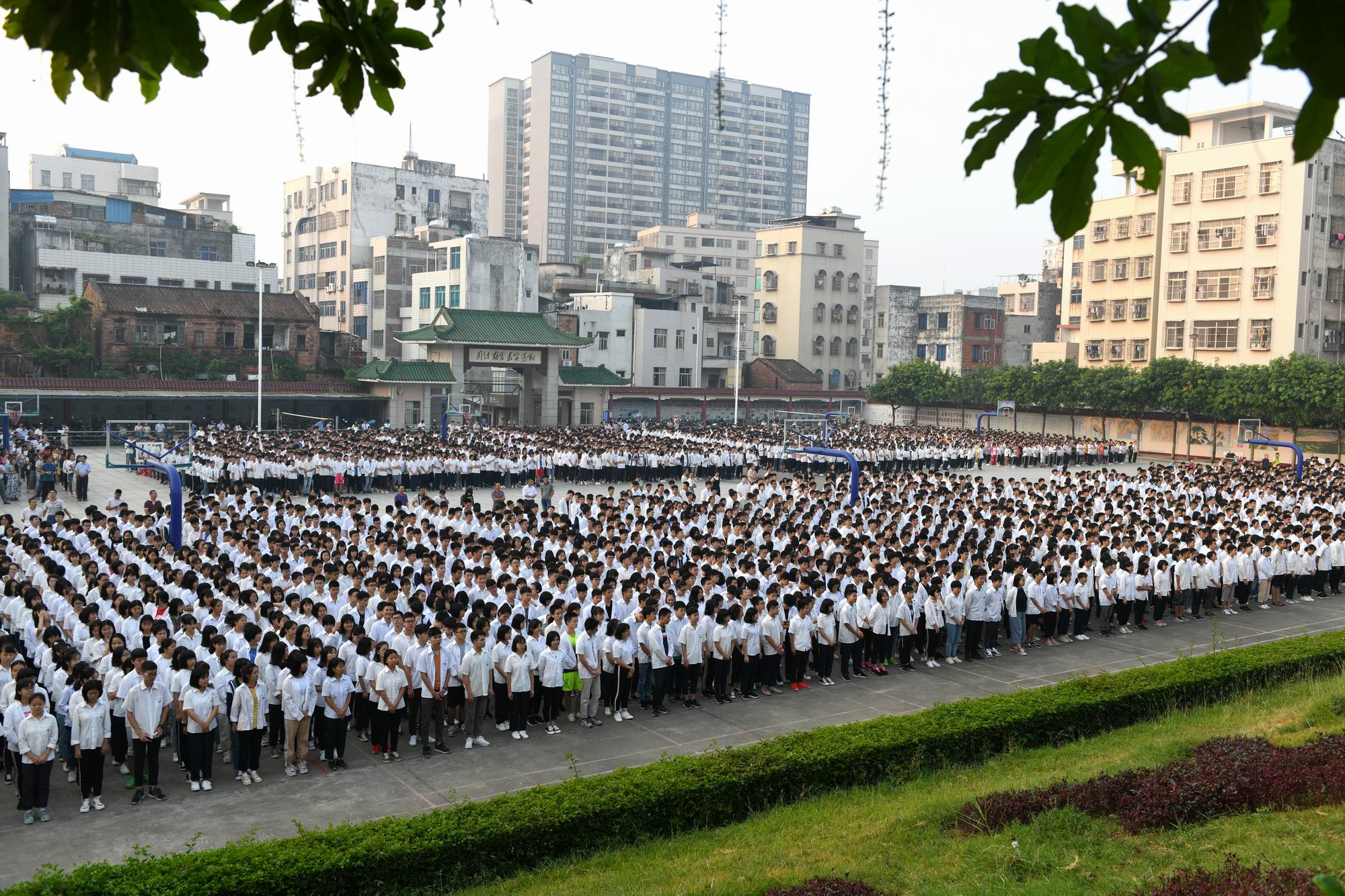 廉江中學十九人獲全國徵文比賽一等獎