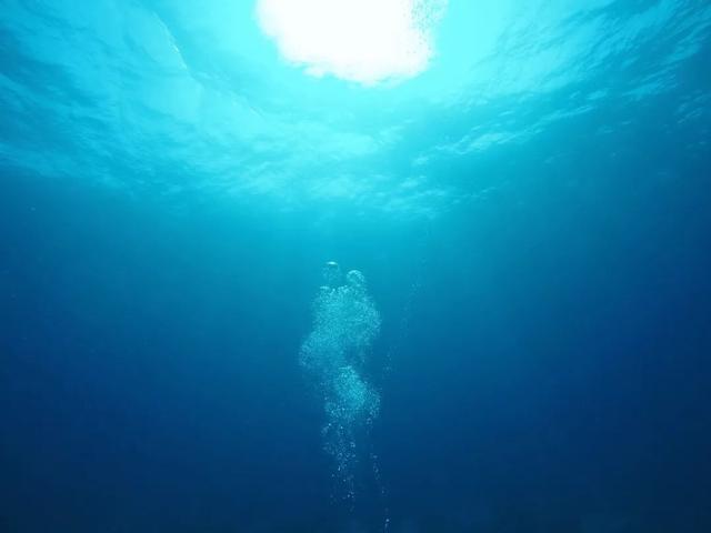 那是第一次在海底感到绝望和无助哪怕本来是一起海底观光的潜导和各国