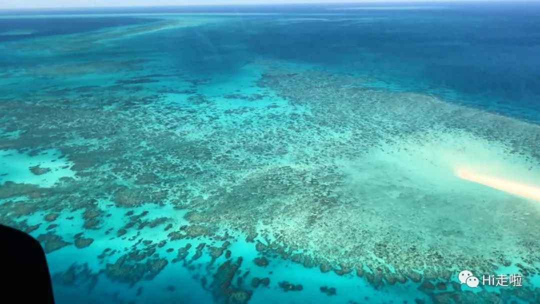 世界上最大的珊瑚礁群图片