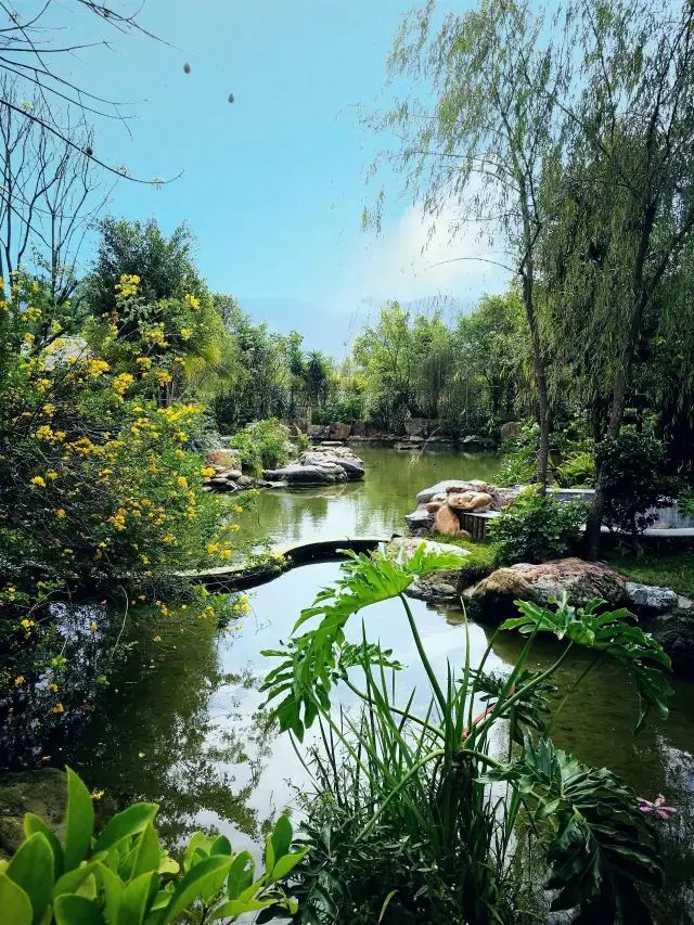 温泉门票免费送!_凤凰河