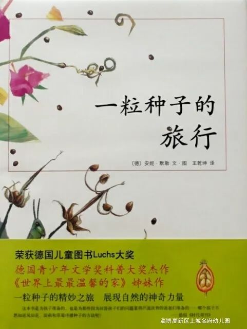 记录美好老师为孩子们带来了精彩的绘本故事《一粒种子的旅行》以及