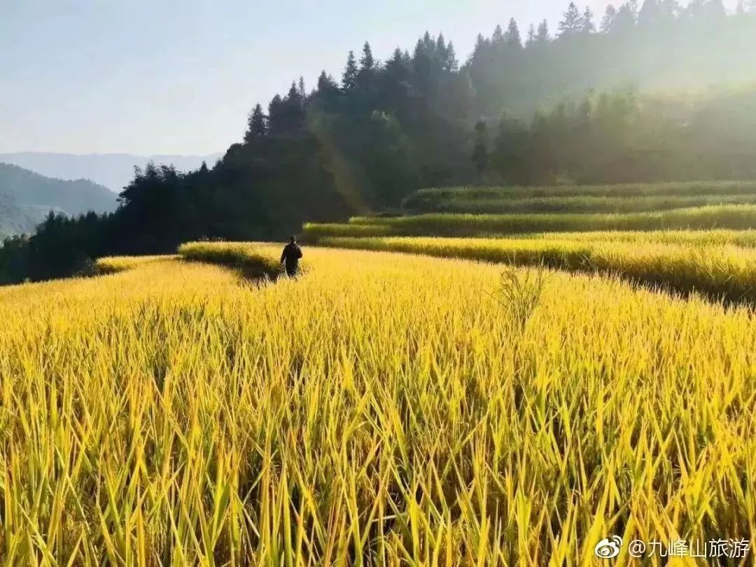 乐昌这片秋色刷爆朋友圈,身边即美景,何必要远行!