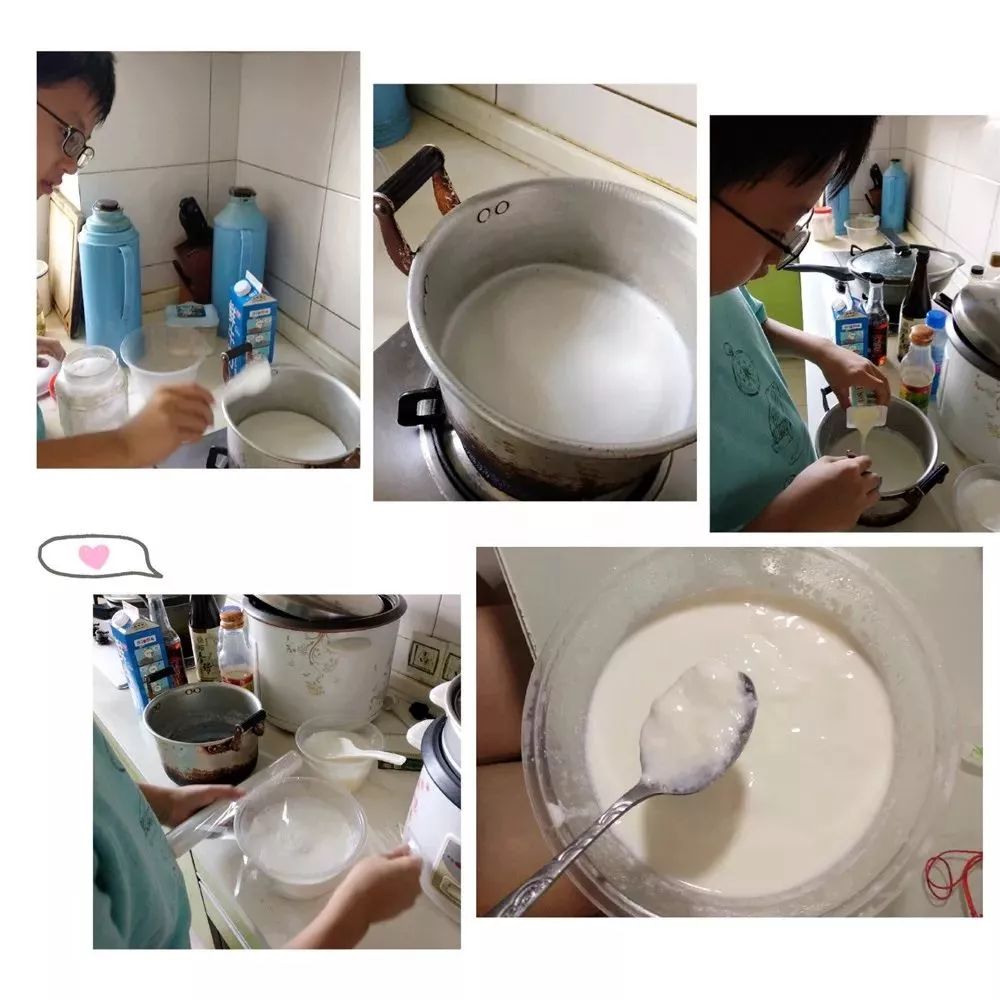 制作酸奶实验图片