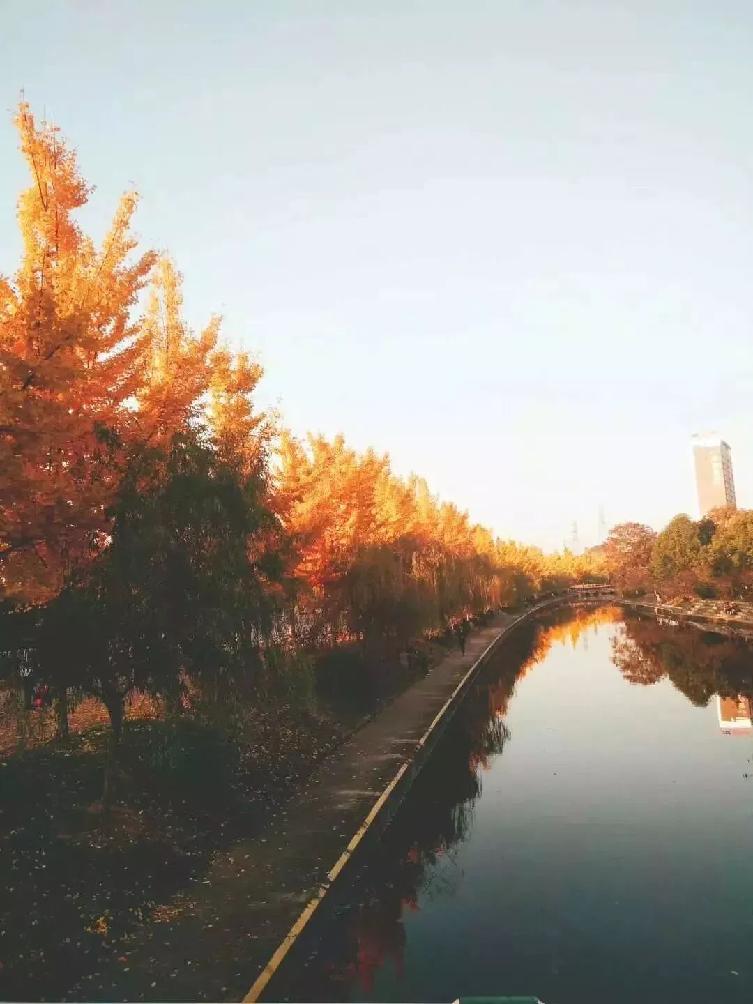 多彩的三峽大學把最美麗的顏色獻給在這的你