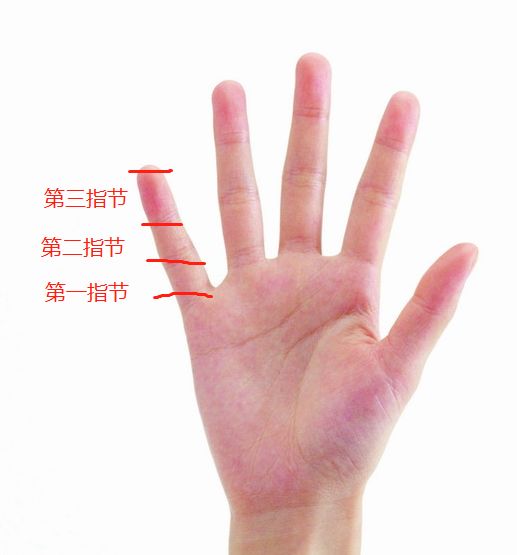 手指第一二三关节图图片