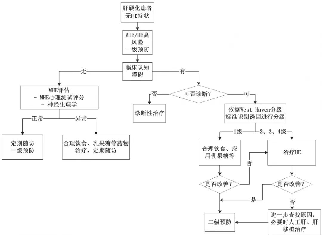 2018肝硬化肝性脑病诊疗指南发布!