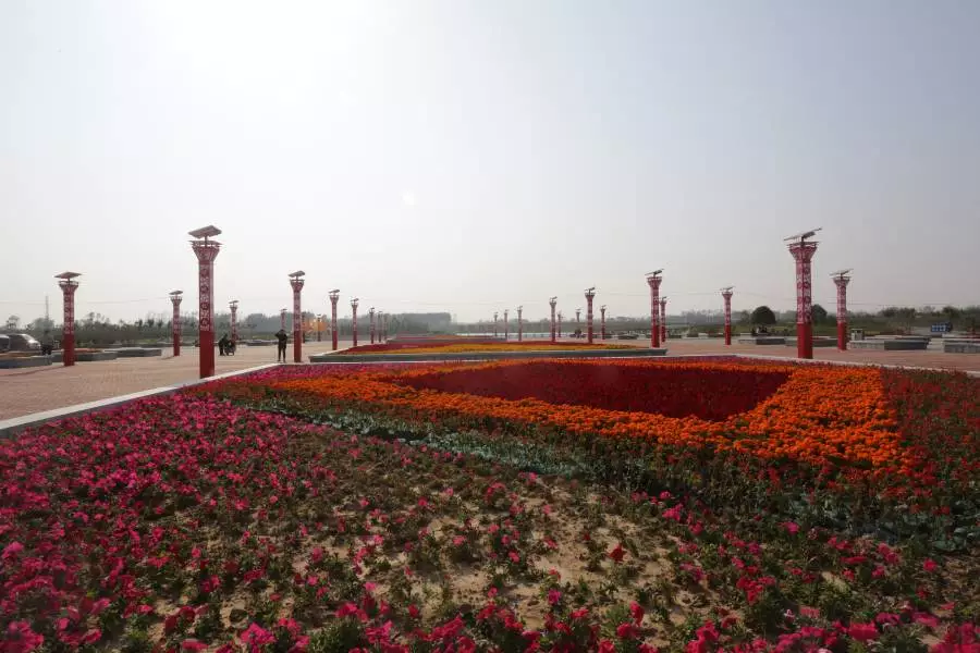 項城植物園,美爆了嗎?