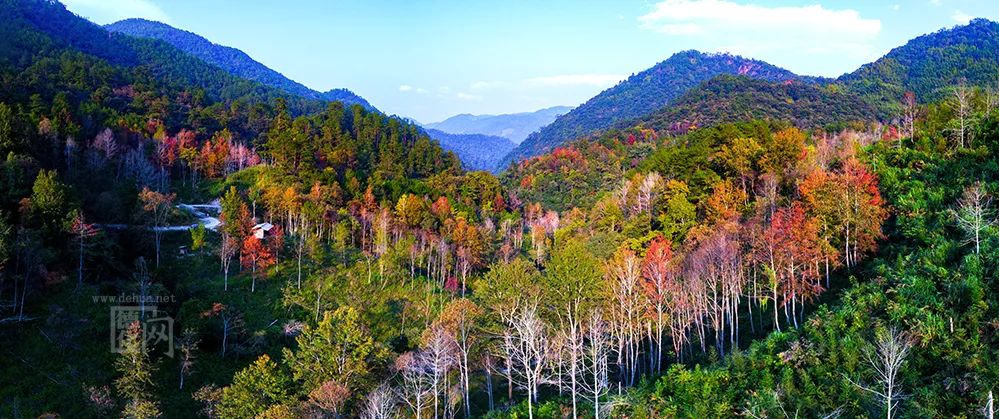 與生態建設力度,特別是大量農村人口進城,農村大片林地得以休養生息