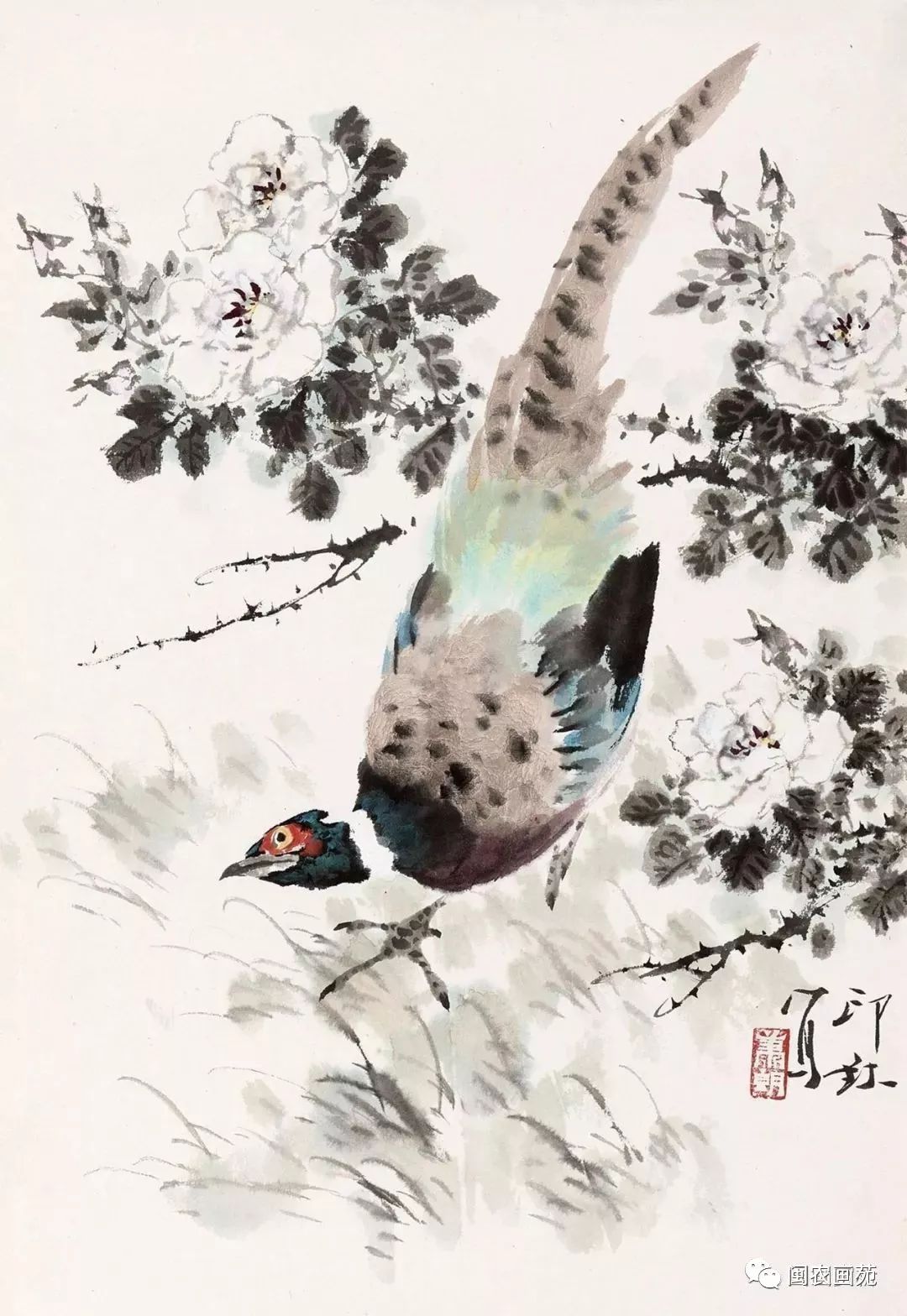 与小写意花鸟画大师王雪涛相比,他在强化绘画主体形象的完整与完美