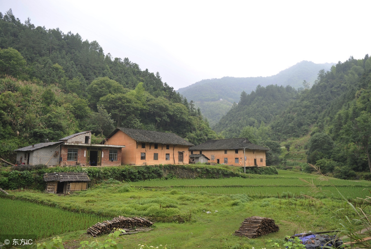 这是四年前的江西修水县大山里的村民住房,房子大多都是这一类的土房.