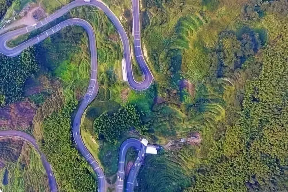 浙江有一条神级盘山公路!悬崖,云海,红杉林…一路风景美到逆天!