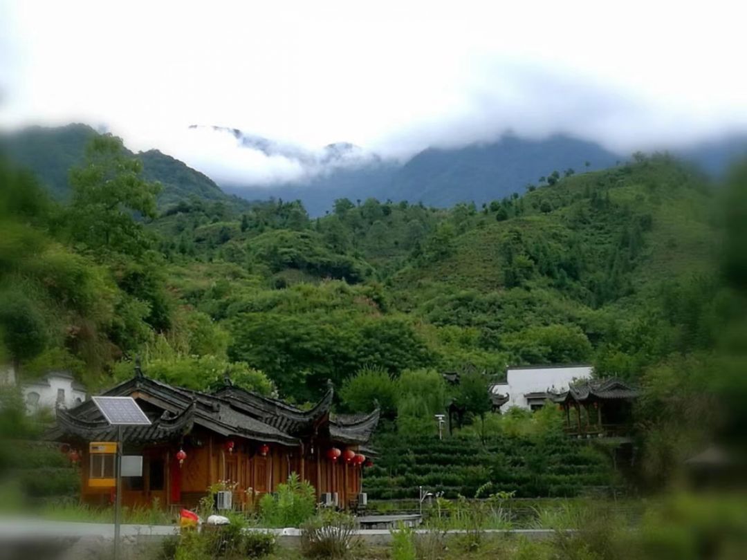 绍兴桃源村图片