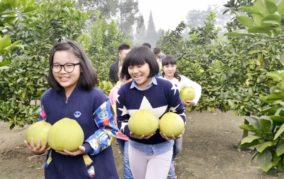 解锁柚子多种玩法参加土而奇柚惑派对各种竞技活动及品特色凉笋鸡