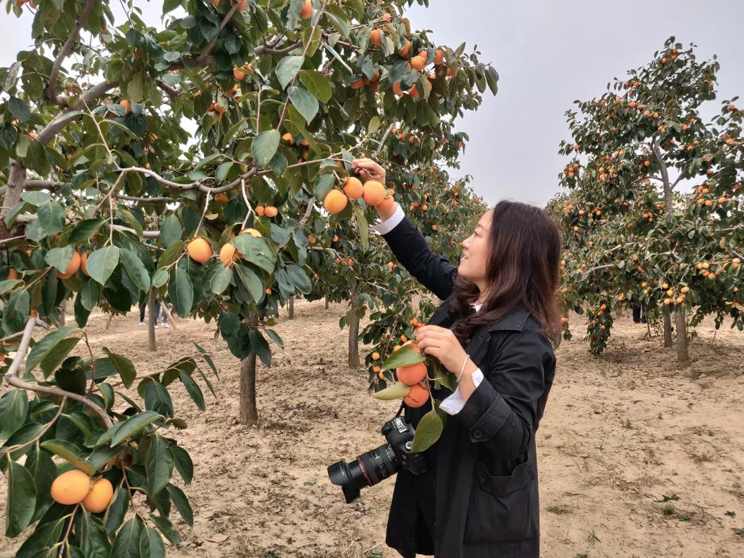 陕西省旅游摄影协会富平分会携手北山书画院走进庄里试验区王庄村