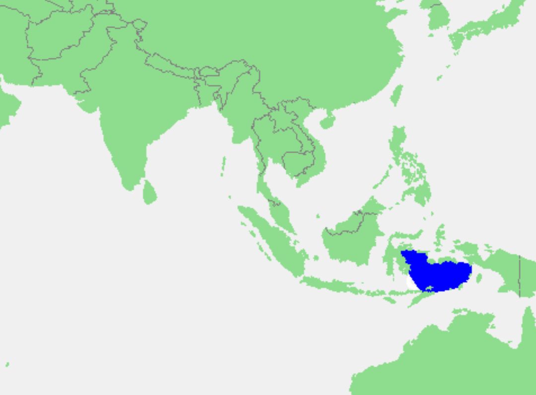 印尼的位置图片