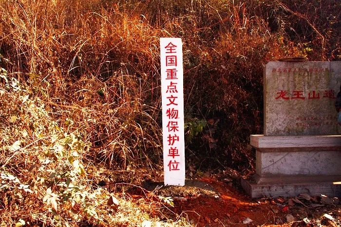 龙王山墓地图片
