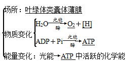 Ⅰ:光反應(2)填寫Ⅰ,Ⅱ過程的場所及變化過程:①o2,②[h],③c3,④co2