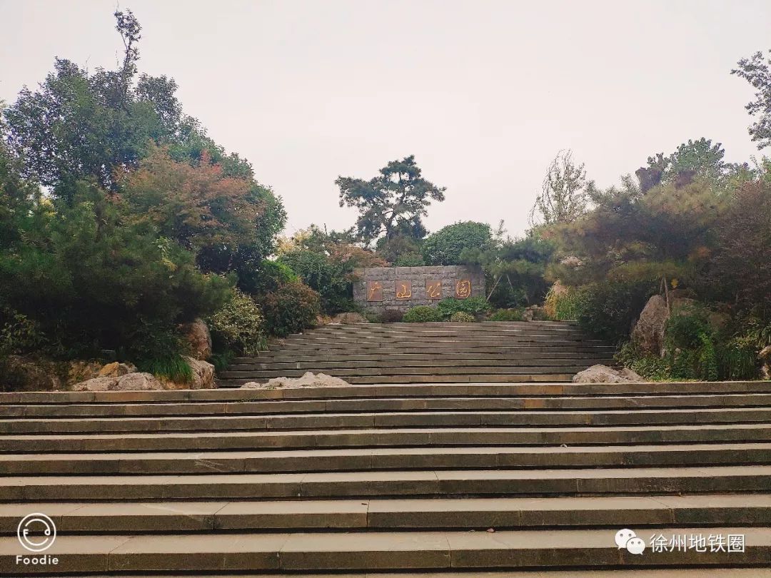 风靡杭州南京的网红草,惊现徐州!粉色花海美爆了!