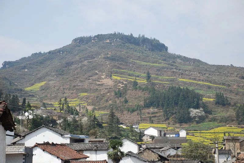 「厉害了」四百多年前,这座山上是罗平末代土司城!_继荣