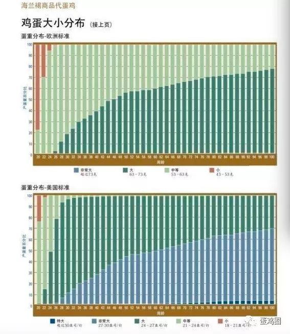 海兰褐生长周期表图片